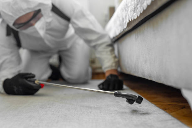 Professional Bed Bug Control technician working in Randolph County County, WV